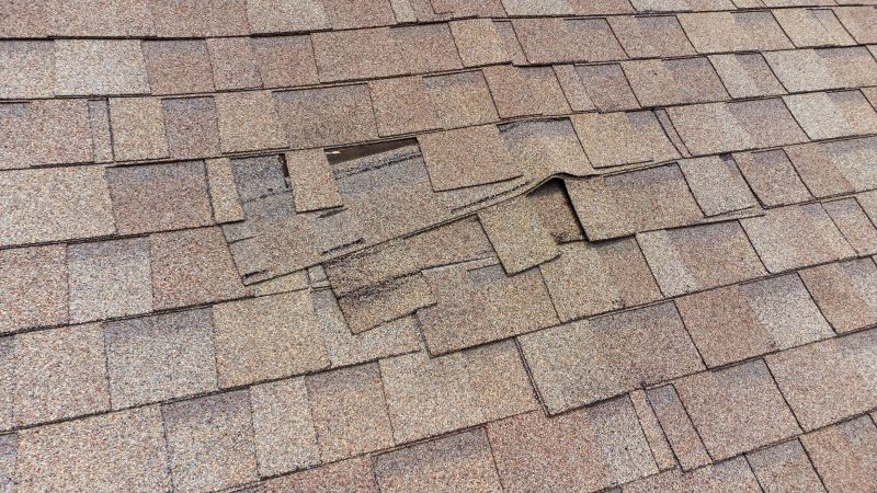 Professional Roof Inspection