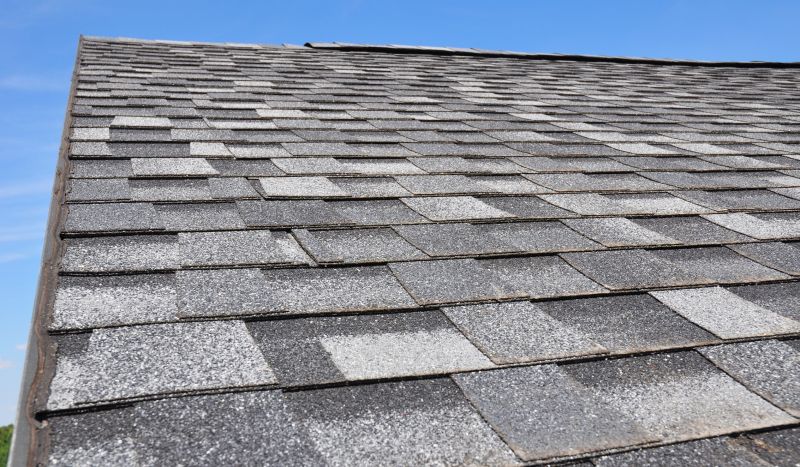 Specialized Roofing Contractors